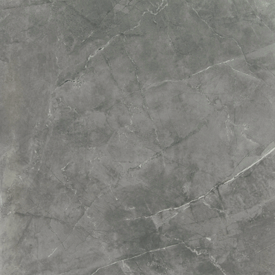 Premium Marble Grijs  80x80x1cm