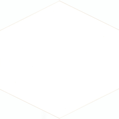 Hexagon Volledig Wit  21.5x25x0.9 cm