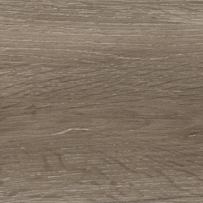 Triglav  Taupe  20x120x1cm